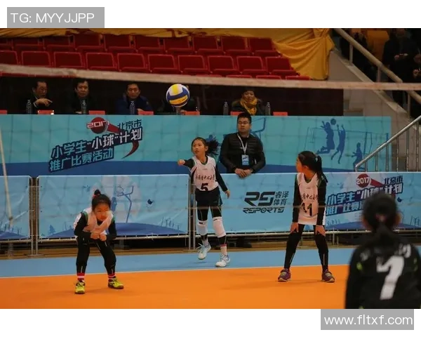 北京排球队技术解析：从基本功到战术运用的全面探讨与提升之路